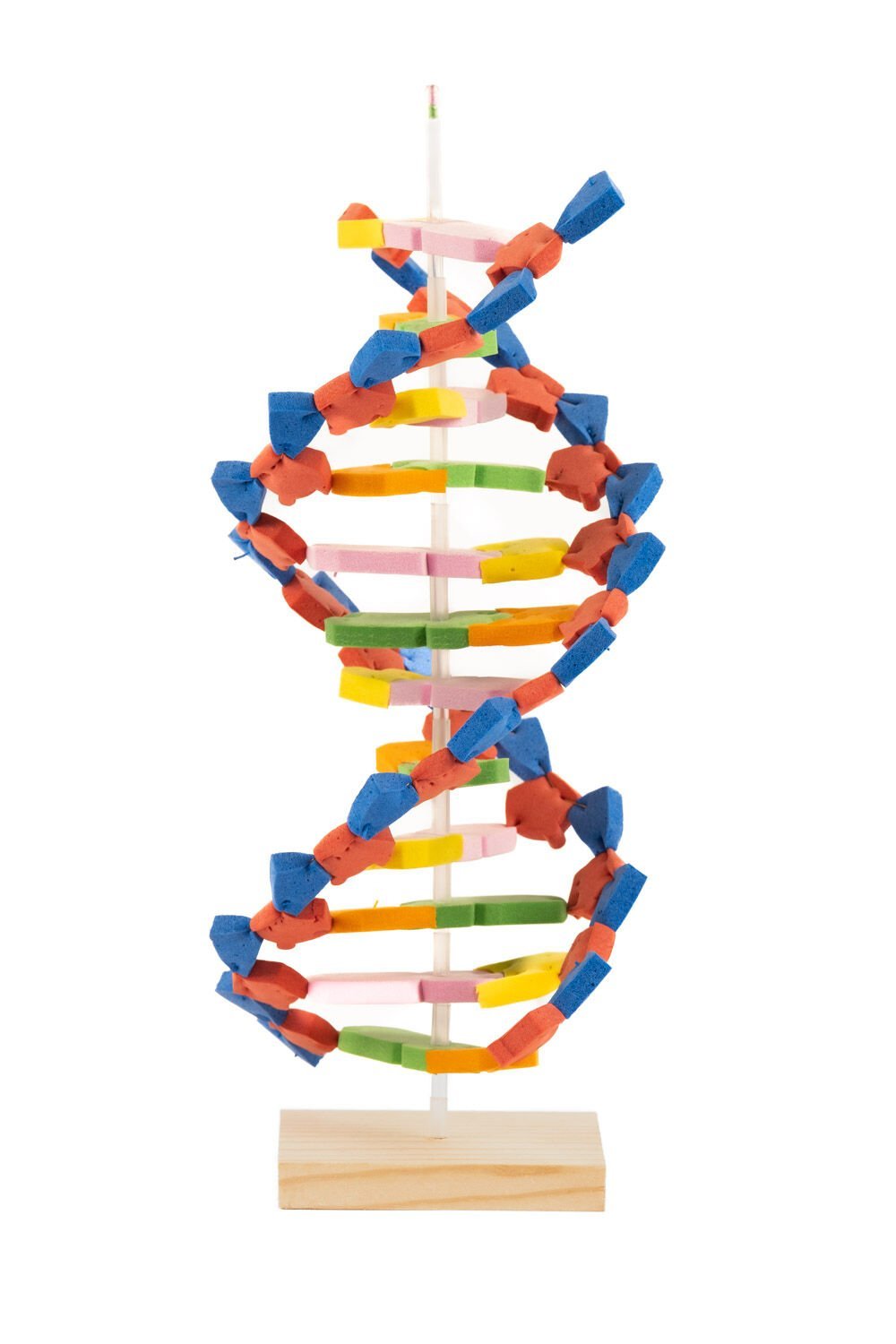 DNA Modeli Yapalım Deney Seti