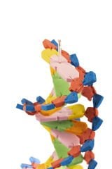 DNA Modeli Yapalım Deney Seti