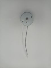 DVD  Motoru