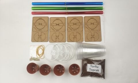 Fotosenteze Işık Renklerinin Etkisi