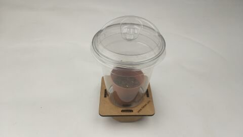 Fotosenteze Işık Renklerinin Etkisi