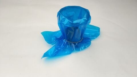 Fotosenteze Işık Renklerinin Etkisi