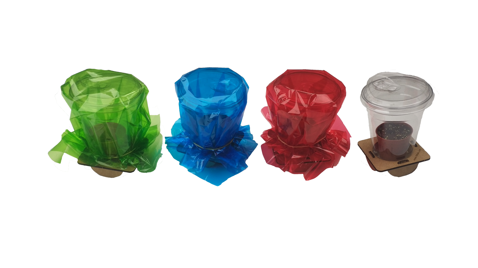 Fotosenteze Işık Renklerinin Etkisi