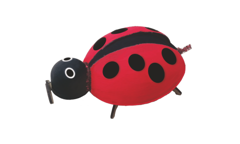 Dans Eden Uğur Böceği