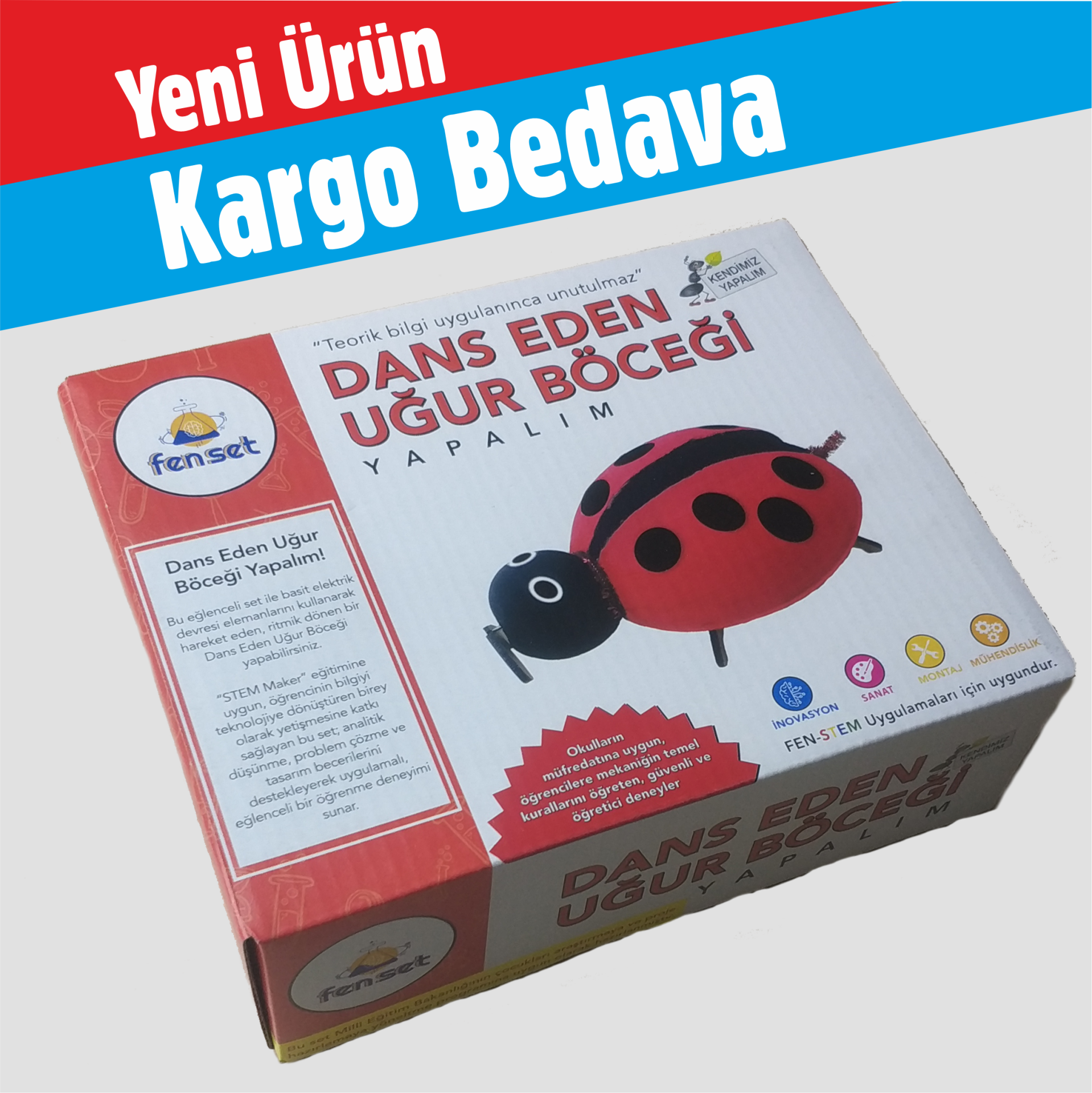 Dans Eden Uğur Böceği